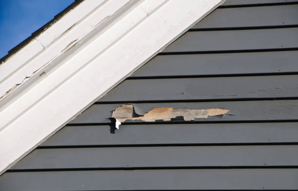 Professional Siding Installation & Repair in Washburn, WI